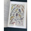 A FIRST GUIDE TO SOUTH AFRICAN BIRDS BY E. LEONARD GILL 1936