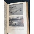 THE LONSDALE LIBRARY VOLUME IV FINE ANGLING FOR COARSE FISH 1930