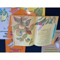 6 X CHILDREN`S TSWANA , SOUTH AND NORTHERN SOTHO BOOKS
