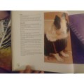 knitting dog coats book