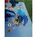 Huge collection of military sport related medals