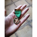 Boy scouts medal