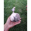 Nice pottery bird. Condition as per picture