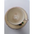 Antique Booths silicon China oeylon ivory cup and saucer
