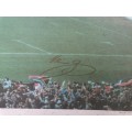 Large 1995 world cup.picture signed by photographer 119cm x 62cm