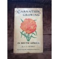 carnation growing in south africa by A.G Murray 1920
