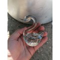 Swan Art Glass Paperweight
