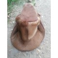Hat made from Springbok skin