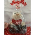 **Valentines Day Sale : Gorgeous Hug Me Teddy and Jewellry box Gift combo**