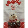 **Valentines Day Sale : Gorgeous Hug Me Teddy and Jewellry box Gift combo**