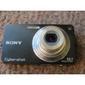 Sony Cyber-shot DCS-W350 camera.