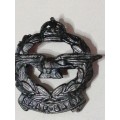 WW2 SAAF Cap badge and lapel badge