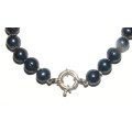 Navy Blue Freshwater Pearls with Solid Sterling Silver Clasp and Spacers