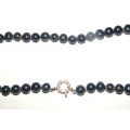 Navy Blue Freshwater Pearls with Solid Sterling Silver Clasp and Spacers