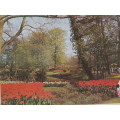 JIGSAW PUZZLE - SpringTime  (3000pc)   - 121 x 89 cm