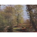 JIGSAW PUZZLE - SpringTime  (3000pc)   - 121 x 89 cm