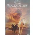 DVD: Black Stalion - A new legend is born