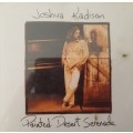 Joshua Kadison - Painted Desert Serenade