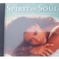 Spirits of Soul - Various