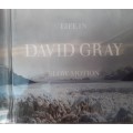 David Grey - Life in slow motion