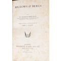 1902 BILLOWS AND BERGS BY W CHARLES METCALFE