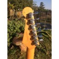 1994 Yamaha Pacifica 604 - High End / Cherry Sunburst Superstrat Electric Guitar