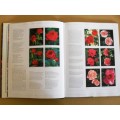 Roses, Esther Geldenhuys