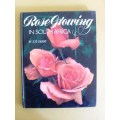 Rose Growing in South Africa, Zoë Gilbert