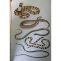 A field guide to the snakes of Southern Africa by VFM FitzSimons