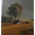 The spirit of steam, locomotives in South Africa by Smith and Bourne