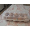 Clear Egg shell container