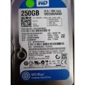 Western Digital 250GB HDD