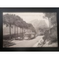 Vintage Postcard of Kloof Road, Cape Town. Posted 1911 `Alfred Dock`