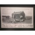Postcard of : South African Farmyard Scene, Posted 1904