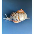 Pewter Snail Sea Ocean Beach Figurine Silver Shell Turbo