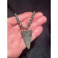 Mako FOSSIL SHARK TOOTH PENDANT NECKLACE