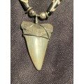 Mako FOSSIL SHARK TOOTH PENDANT NECKLACE