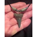 Great White FOSSIL SHARK TOOTH PENDANT NECKLACE