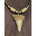 Great White FOSSIL SHARK TOOTH PENDANT NECKLACE