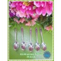 Stunning Silver Spoons set of 5