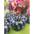 6 Glass Beads Napkin Rings