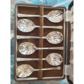 Vintage Boxed Set  Dessert Fruit Spoons