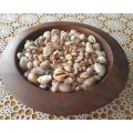Wooden Bowl with Cowries