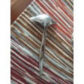 Stainless Steel Gravy Boat and Spoon