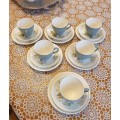 Alfred Meakin | Tea Set  |  England |  Very good condition |