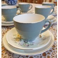 Alfred Meakin | Tea Set  |  England |  Very good condition |