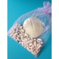 BOX WITH SHELLS FOR YOUR CRAFT PROJECT