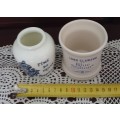 Set of mustard containers