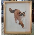 Metal Frame with a Print of a Cat