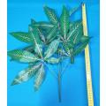 3 Artificial leaf Plants